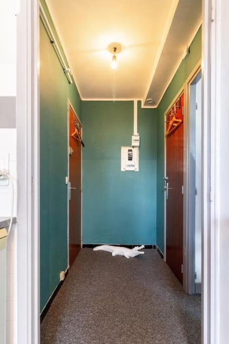 Double Appartement, Saint Michel, Parking, Wifi *